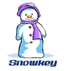 Fujian Snowman Co., Ltd.