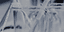 Daewoong pharmaceutical Co.,Ltd