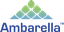Ambarella, Inc.