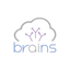 Brains Technology, Inc.