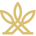 AGFY logo