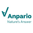 ANP.L logo