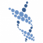 BIOSW logo