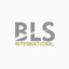 BLS International Services Limited