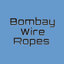Bombay Wire Ropes Ltd