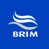 BRIM.IC logo