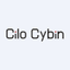 Cilo Cybin Holdings Ltd