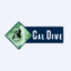 CDVIQ logo