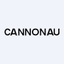 CNNC logo