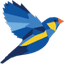 Finch Therapeutics Group, Inc.