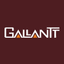Gallantt Ispat Limited