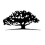 WisdomTree CBOE S&P 500 PutWrite Strategy Fund