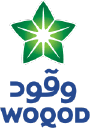 QFLS.QA logo