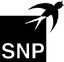 SNP Schneider-Neureither & Partner SE