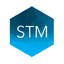 STM Group Plc