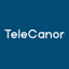 Telecanor Global Limited