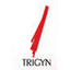 Trigyn Technologies Limited