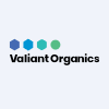 VALIANTORG.BO logo