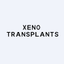 XENO logo