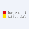BHD.VI logo