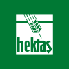 HEKTS.IS logo
