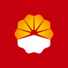 PECN.VI logo