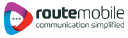 ROUTE.NS logo