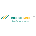 TRIDENT.NS logo